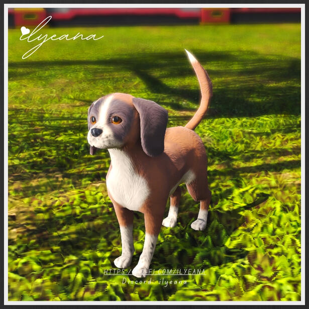 Custom Pupper
